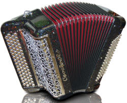 Cavagnolo Success Accordions Asia Superstore